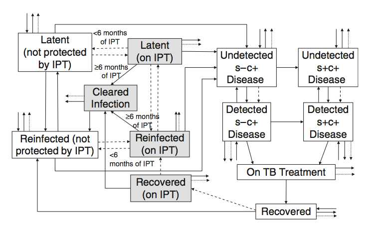 Model structure